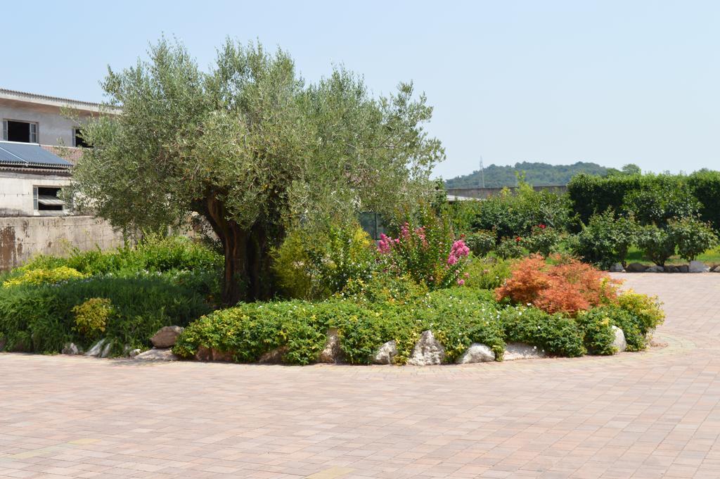 Agriturismo Ca' Del Gal Valeggio sul Mincio Exterior foto