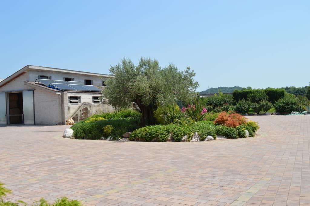 Agriturismo Ca' Del Gal Valeggio sul Mincio Exterior foto